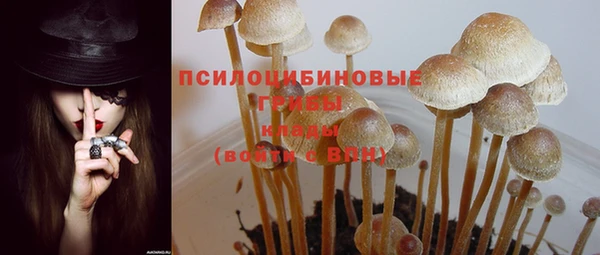 2c-b Михайлов