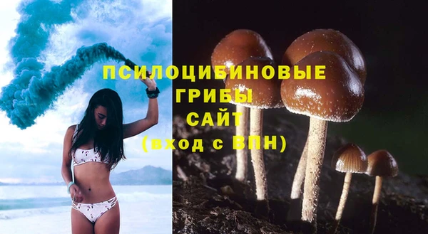 стаф Алексеевка