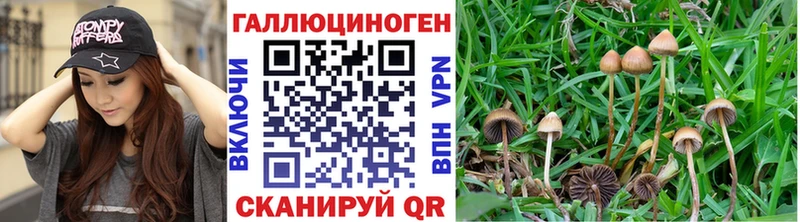 Галлюциногенные грибы Cubensis  Анива 